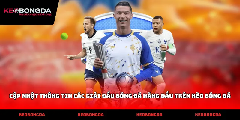 Cập nhật thông tin các giải đấu bóng đá hàng đầu trên Kèo Bóng Đá
