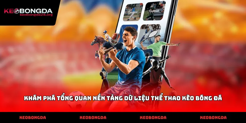 Khám phá tổng quan nền tảng dữ liệu thể thao Kèo Bóng Đá